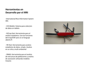 Toma de datos e instrumentos de analisis