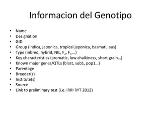 Toma de datos e instrumentos de analisis