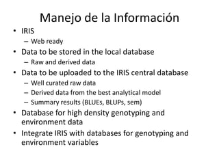 Toma de datos e instrumentos de analisis