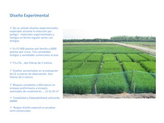 Toma de datos e instrumentos de analisis