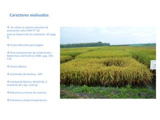 Toma de datos e instrumentos de analisis