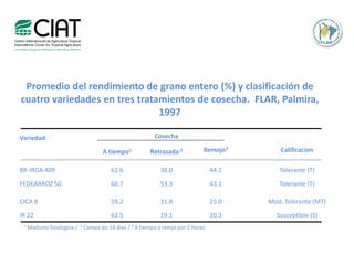 Toma de datos e instrumentos de analisis