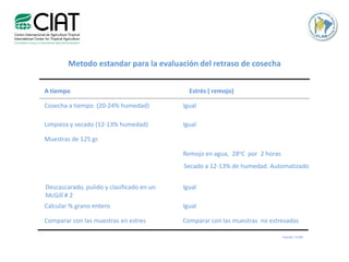 Toma de datos e instrumentos de analisis