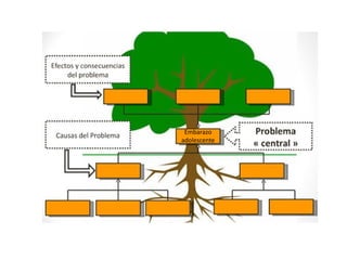 Embarazo
adolescente
 