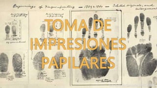 TOMA DE
IMPRESIONES
PAPILARES
 