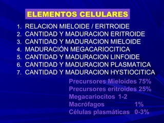 ELEMENTOS CELULARES
1. RELACION MIELOIDE / ERITROIDE
2. CANTIDAD Y MADURACION ERITROIDE
3. CANTIDAD Y MADURACION MIELOIDE
4. MADURACIÓN MEGACARIOCITICA
5. CANTIDAD Y MADURACION LINFOIDE
6. CANTIDAD Y MADURACION PLASMATICA
7. CANTIDAD Y MADURACION HYSTIOCITICA
Precursores Mieloides 75%
Precursores eritroides 25%
Megacariocitos 1-2
Macrófagos 1%
Células plasmáticas 0-3%
 