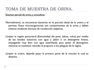 TOMA DE MUESTRA DE ORINA. Examen parcial de orina y urocultivo  Normalmente, se encuentran bacterias en la porción distal de la uretra y el perineo. Estos microorganismos son contaminantes de la orina y deben evitarse mediante técnicas de recolección asépticas.   Limpiar la región periuretral (Extremidad del pene, labios, vulva) por medio de los lavados sucesivos con agua y jabón o un detergente liviano, enjuagando muy bien con agua esterilizada para quitar el detergente, mientras se mantiene retraído el prepucio o los pliegues de la vagina.    Limpiar la uretra, dejando pasar la primera parte de la micción la cual se desecha.  