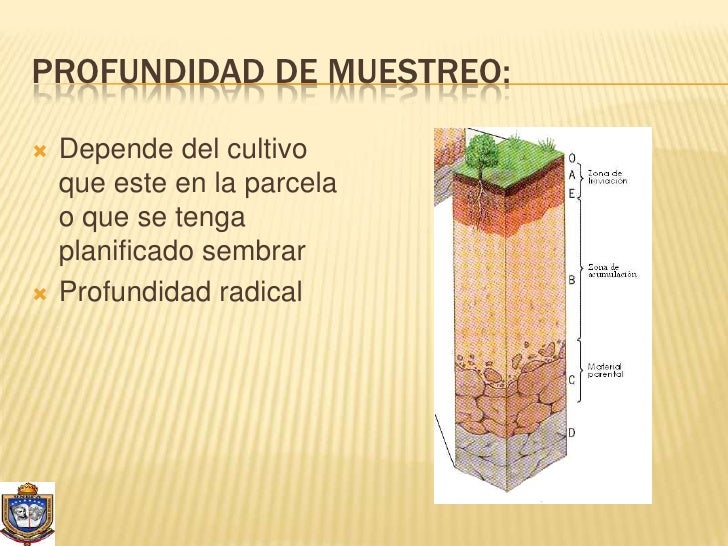 Toma de muestrade suelo