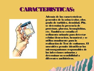 CARACTERISTICAS:CARACTERISTICAS:
Además de las característicasAdemás de las características
generales de la orina (color, olor,generales de la orina (color, olor,
grado de turbidez, densidad, Ph),grado de turbidez, densidad, Ph),
se determina la presencia dese determina la presencia de
proteínas, glucosa, hemoglobina,proteínas, glucosa, hemoglobina,
etc. También se estudia eletc. También se estudia el
sedimento urinario para detectarsedimento urinario para detectar
células (leucocitos, hematíes) y secélulas (leucocitos, hematíes) y se
utiliza usualmente para lautiliza usualmente para la
realización de Test de embarazo. Elrealización de Test de embarazo. El
urocultivo permite identificarlosurocultivo permite identificarlos
microorganismos responsables demicroorganismos responsables de
las infecciones urinarias ylas infecciones urinarias y
determinarsu sensibilidad adeterminarsu sensibilidad a
diferentes antibióticos.diferentes antibióticos.
 
