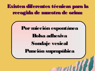 Existen diferentes técnicas para laExisten diferentes técnicas para la
recogida de muestra de orina:recogida de muestra de orina:
Pormicción espontáneaPormicción espontánea
Bolsa adhesivaBolsa adhesiva
Sondaje vesicalSondaje vesical
Punción suprapúbicaPunción suprapúbica
 