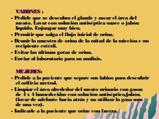  VARONES :VARONES :
- Pedirle que se descubra el glande y asearel área del- Pedirle que se descubra el glande y asearel área del
meato. Lavarcon solución antiséptica suave o jabónmeato. Lavarcon solución antiséptica suave o jabón
líquido. Enjuagarmuy bien.líquido. Enjuagarmuy bien.
- Permitirque salga el flujo inicial de orina.- Permitirque salga el flujo inicial de orina.
- Reunirla muestra de orina de la mitad de la micción e un- Reunirla muestra de orina de la mitad de la micción e un
recipiente estéril.recipiente estéril.
- Evitarlas últimas gotas de orina.- Evitarlas últimas gotas de orina.
- Enviaral laboratorio para su análisis.- Enviaral laboratorio para su análisis.
 MUJERES:MUJERES:
- Pedirle a la paciente que separe sus labios para descubrir- Pedirle a la paciente que separe sus labios para descubrir
el orificio uretral.el orificio uretral.
- Limpiarel área alrededordel meato urinario con gasas- Limpiarel área alrededordel meato urinario con gasas
de 4 x 4 humedecidas con solución antiséptica/jabón.de 4 x 4 humedecidas con solución antiséptica/jabón.
(lavarde adelante hacia atrás y no utilizarla gasa más(lavarde adelante hacia atrás y no utilizarla gasa más
de una vez).de una vez).
- Indicarle a la paciente que orine con fuerza.- Indicarle a la paciente que orine con fuerza.
 