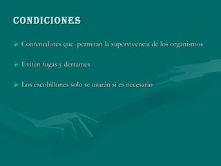 CONDICIONES Contenedores que  permitan la supervivencia de los organismos Eviten fugas y derrames Los escobillones solo se usarán si es necesario 