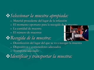 Seleccionar la muestra apropiada: Material procedente del lugar de la infección El momento oportuno para la recogida de la muestra La cantidad de muestra El número de muestras Recogida de la muestra: Desinfección del lugar del que se va a recoger la muestra Dispositivos y contenedores adecuados Transporte adecuado Identificar y transportar la muestra: 
