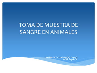 TOMA DE MUESTRA DE
SANGRE EN ANIMALES
ROSMERY CUADRADO CANO
MVZ Esp LCV
 
