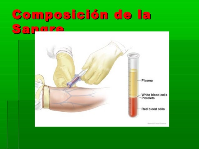 Toma de muestra sanguinea