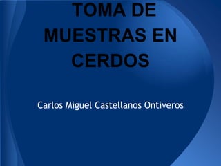 TOMA DE
MUESTRAS EN
CERDOS
Carlos Miguel Castellanos Ontiveros
 