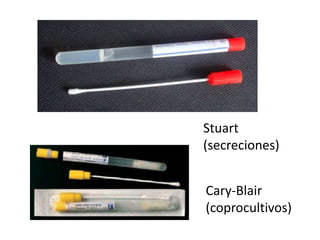 Stuart
(secreciones)
Cary-Blair
(coprocultivos)
 
