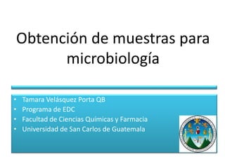 Obtención de muestras para
microbiología
• Tamara Velásquez Porta QB
• Programa de EDC
• Facultad de Ciencias Químicas y Farmacia
• Universidad de San Carlos de Guatemala
 