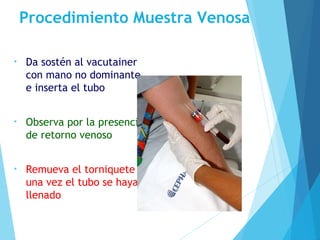 Procedimiento Muestra Venosa
• Da sostén al vacutainer
con mano no dominante
e inserta el tubo
• Observa por la presencia
de retorno venoso
• Remueva el torniquete
una vez el tubo se haya
llenado
 