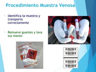 Procedimiento Muestra Venosa
• Identifica la muestra y
transporta
correctamente
• Remueve guantes y lava
sus manos
 
