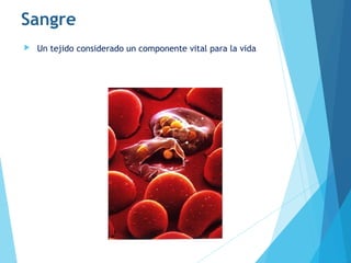 Sangre
 Un tejido considerado un componente vital para la vida
 