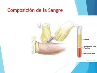 Composición de la Sangre
 