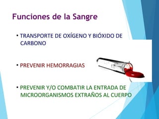 Funciones de la Sangre
• TRANSPORTE DE OXÍGENO Y BIÓXIDO DE
CARBONO
• PREVENIR HEMORRAGIAS
• PREVENIR Y/O COMBATIR LA ENTRADA DE
MICROORGANISMOS EXTRAÑOS AL CUERPO
 