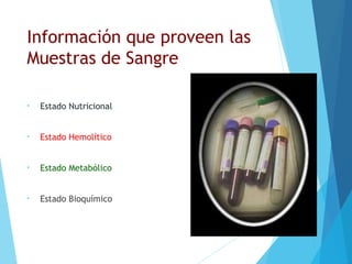 Información que proveen las
Muestras de Sangre
• Estado Nutricional
• Estado Hemolítico
• Estado Metabólico
• Estado Bioquímico
 