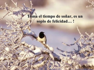 Toma el tiempo de soñar, es un soplo de felicidad… ! 