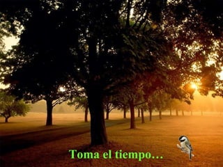 Toma el tiempo… 