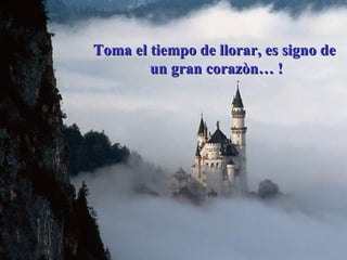 Toma el tiempo de llorar, es signo de un gran corazòn… ! 