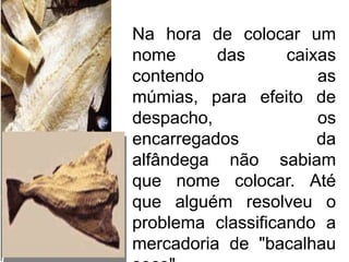 Na hora de colocar um
nome      das      caixas
contendo               as
múmias, para efeito de
despacho,              os
encarregados           da
alfândega não sabiam
que nome colocar. Até
que alguém resolveu o
problema classificando a
mercadoria de "bacalhau
 