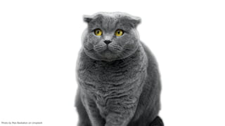 Photo by Max Baskakov on Unsplash
 