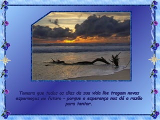 Tomara que todos os dias da sua vida lhe tragam novas esperanças no futuro – porque a esperança nos dá a razão para tentar. 