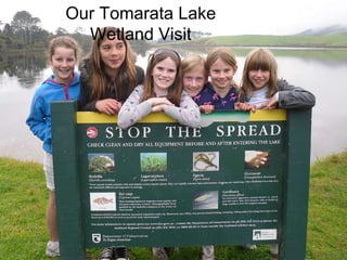 Our Tomarata Lake Wetland Visit 