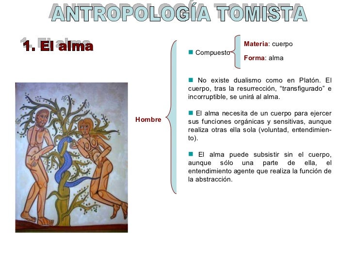 Imagen relacionada