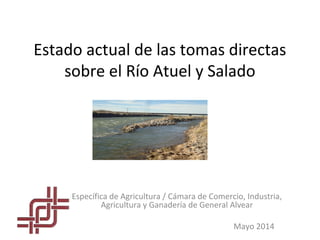 Estado actual de las tomas directas
sobre el Río Atuel y Salado
Específica de Agricultura / Cámara de Comercio, Industria,
Agricultura y Ganadería de General Alvear
Mayo 2014
 