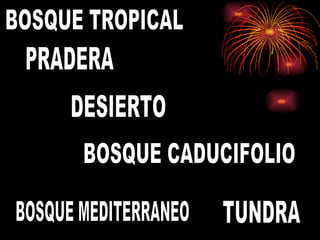 BOSQUE TROPICAL PRADERA DESIERTO BOSQUE CADUCIFOLIO TUNDRA BOSQUE MEDITERRANEO 