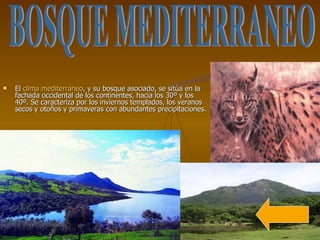 El  clima mediterráneo , y su bosque asociado, se sitúa en la fachada occidental de los continentes, hacia los 30º y los 40º. Se caracteriza por los inviernos templados, los veranos secos y otoños y primaveras con abundantes precipitaciones.  BOSQUE MEDITERRANEO 