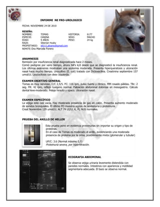 INFORME NE FRO-UROLOGICO
FECHA: NOVIEMBRE 24 DE 2010
RESEÑA:
NOMBRE: TOMAS HISTORIA: 6177
ESPECIE: CANINA SEXO: MACHO
EDAD: 9 AÑOS PESO: 24 kg
RAZA: Siberian Husky
PROPIETARIO: eli111.alvarez@gmail.com
REMITE:Dra Marcela Forero
ANAMNESIS
Remisión por insuficiencia renal diagnosticada hace 2 meses.
Comió pedigree por vario tiempo, ahora hill’s k/d desde que se diagnosticó la insuficiencia renal.
Los últimos exámenes mostraban una azotemia moderada. Presenta hiperqueratosis y ulceración
nasal hace mucho tiempo. Urocultivo (E. coli) tratado con Dicloxacilina. Creatinina septiembre 157
umol/Lt. Leucocitosis con desv izquierda.
EXAMEN OBJETIVO GENERAL
Tomas es muy nervioso. C/C 2,5/5. FC: 116 lpm, pulso fuerte y rítmico. MM rosado pálidas. Tllc: 2
seg. FR: 42 rpm, reflejo tusígeno normal. Palpación abdominal dolorosa en mesogastrio. Cálculo
dental leve-moderado. Pelaje hirsuto y opaco. Ulceración nasal.
EXAMEN ESPECÍFICO
La vejiga está casi vacía. Hay moderada presencia de gas en colón. Presenta aumento moderado
de sonidos bronquiales. El último PO muestra signos de isostenuria y proteinuria.
Creat Noviembre 129 umol/Lt. ALT 74 UI/Lt. K, Pi, NUS normales.
PRUEBA DEL ANILLO DE HELLER
Esta prueba pone en evidencia proteinurias sin importar su origen y tipo de
proteínas.
En el caso de Tomas es moderado el anillo, evidenciando una moderada
presencia de proteína por la orina, posiblemente mixta (glomerular y tubular)
UP/C: 3.6 (Normal máximo 0,5)
Proteinuria severa, por hiperfiltración.
ECOGRAFIA ABDOMINAL
Se observa vejiga urinaria levemente distendida con
paredes normales. Intestinos con apariencia y motilidad
segmentaria adecuada. El bazo se observa normal.
 