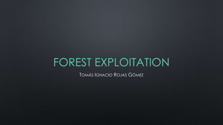 FOREST EXPLOITATION 
TOMÁS IGNACIO ROJAS GÓMEZ 
 