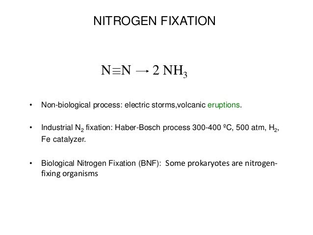FIJACION BIOLOGICS DE NITROGENO EBOOK DOWNLOAD FIJACION BIOLOGICS DE NITROGENO EBOOK DOWNLOAD