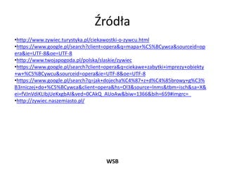Tomasz Hałasek Prezentacja | PPT