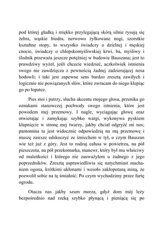 pod której gładką i miękko przylegającą skórą silnie rysują się
żebra, wąskie biodra, nerwowo żyłkowane nogi, szorstkie
kształtne stopy, to wszystko świadczy o dzielnej i męskiej
cnocie, świadczy o chłopskomyśliwskiej krwi, ba, myśliwy i
ślednik przeważa jeszcze potężniej w budowie Bauszana; jest to
prawdziwy wyżeł, jeśli chcecie wiedzieć, aczkolwiek istnienia
swego nie zawdzięcza z pewnością żadnej zadzierającej nosa
hodowli; i taki jest zapewne sens bardzo zresztą zawiłych i
logicznie nie powiązanych słów, które zwracam do niego klepiąc
go po łopatce.
Pies stoi i patrzy, słucha akcentu mojego głosu, przenika go
oznakami stanowczej pochwały swego istnienia, które jest
powodem mej przemowy. I nagle, wyciągając głowę oraz
otwierając i zamykając szybko wargi, wykonywa pyskiem
kłapnięcie w stronę mej twarzy, jakby chciał odgryźć mi nos;
pantomina ta jest widocznie odpowiedzią na mą przemowę i
muszę zawsze odskoczyć ze śmiechem w tył, o czym Bauszan
wie też już z góry. Jest to rodzaj całusa w powietrzu, na pół
pieszczota, na pół przekomarka, manewr, który był mu właściwy
od maleńkości i którego nie zauważyłem u żadnego z jego
poprzedników. Zresztą usprawiedliwia się natychmiast macha-
niem ogona, krótkimi ukłonami i wesoło zakłopotaną miną, że
pozwolił sobie na tę śmiałość. Po czym wychodzimy przez furtę
ogrodu.
Otacza nas jakby szum morza, gdyż dom mój leży
bezpośrednio nad rzeką szybko płynącą i pieniącą się po
 