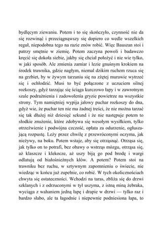 bydlęcym ziewaniu. Potem i to się skończyło, czynność nie da
się rozwinąć i przeciągnąwszy się dopiero co wedle wszelkich
reguł, niepodobna tego na razie znów robić. Więc Bauszan stoi i
patrzy smętnie w ziemię. Potem zaczyna powoli i badawczo
kręcić się dokoła siebie, jakby się chciał położyć i nie wie tylko,
w jaki sposób. Ale zmienia zamiar i lezie gnuśnym krokiem na
środek trawnika, gdzie nagłym, niemal dzikim ruchem rzuca się
na grzbiet, by w żywym tarzaniu się na zżętej murawie wytrzeć
się i ochłodzić. Musi to być połączone z uczuciem silnej
rozkoszy, gdyż tarzając się ściąga kurczowo łapy i w zawrotnym
szale podrażnienia i zadowolenia gryzie powietrze na wszystkie
strony. Tym namiętniej wypija jałowy puchar rozkoszy do dna,
gdyż wie, że puchar ten nie ma żadnej treści, że nie można tarzać
się tak dłużej niż dziesięć sekund i że nie następuje potem to
słodkie znużenie, które zdobywa się wesołym wysiłkiem, tylko
otrzeźwienie i podwójna czczość, opłata za odurzenie, ogłusza-
jącą rozpustę. Leży przez chwilę z przewróconymi oczyma, jak
nieżywy, na boku. Potem wstaje, aby się otrząsnąć. Otrząsa się,
jak tylko on to potrafi, bez obawy o wstrząs mózgu, otrząsa się,
aż klaszcze i klekocze, aż uszy biją go pod brodę i wargi
odlatują od białośnieżnych kłów. A potem? Potem stoi na
trawniku bez ruchu, w sztywnym zapomnieniu o świecie, nie
wiedząc w końcu już zupełnie, co robić. W tych okolicznościach
chwyta się ostateczności. Wchodzi na taras, zbliża się do drzwi
szklanych i z odrzuconymi w tył uszyma, z istną miną żebraka,
wyciąga z wahaniem jedną łapę i drapie w drzwi — tylko raz i
bardzo słabo, ale ta łagodnie i niepewnie podniesiona łapa, to
 