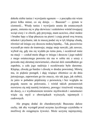 dokoła siebie taniec i wywijanie ogonem — z początku nie wiem
przez kilka minut, co się dzieje. — Bauszan? — pytam w
ciemność... Wtedy taniec i wywijanie urasta do ostatecznych
granic, zmienia się w pląs derwisza i szaleństwo wśród trwającej
wciąż ciszy i w chwili, gdy przystaję, mam uczciwe, choć mokre
i brudne łapy u klap płaszcza na piersi i czuję przed swą twarzą
mlaskot i prychanie, tak że muszę podać się w tył, klepiąc chudą,
również od śniegu czy deszczu mokrą łopatkę... Tak, poczciwiec
wyszedł po mnie do tramwaju; znając moje nawyki, jak zawsze,
wybrał się, gdy mu się wydała po temu pora, i oczekiwał mnie
na stacji — czekał może długo w śniegu i deszczu i jego radość
z mego ostatecznego powrotu nie ma w sobie nic z urazy z
powodu mej okrutnej niewierności, chociaż dziś zaniedbałem go
zupełnie, a cała jego nadzieja i oczekiwanie było daremne.
Klepiąc, chwalę go bardzo i chwalę w drodze powrotnej. Mówię
mu, że pięknie postąpił, i daję wiążące obietnice co do dnia
jutrzejszego, zapewniam go (to znaczy, nie tak jego, jak siebie),
że jutro w południe pójdziemy z pewnością i bez względu na
pogodę razem na polowanie, i wśród takich postanowień
rozwiewa się mój nastrój światowy, powaga i trzeźwość wracają
do duszy, a z wyobrażeniem terenów myśliwskich i samotności
wiąże się myśl o obowiązkach wyższych, tajemnych i
cudownych.
Ale pragnę dodać do charakterystyki Bauszana dalsze
cechy, tak aby wystąpił przed oczyma życzliwego czytelnika w
możliwej do osiągnięcia żywości. Może uczynię najzręczniej,
 