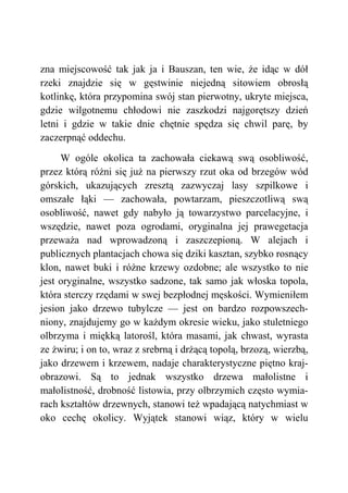 zna miejscowość tak jak ja i Bauszan, ten wie, że idąc w dół
rzeki znajdzie się w gęstwinie niejedną sitowiem obrosłą
kotlinkę, która przypomina swój stan pierwotny, ukryte miejsca,
gdzie wilgotnemu chłodowi nie zaszkodzi najgorętszy dzień
letni i gdzie w takie dnie chętnie spędza się chwil parę, by
zaczerpnąć oddechu.
W ogóle okolica ta zachowała ciekawą swą osobliwość,
przez którą różni się już na pierwszy rzut oka od brzegów wód
górskich, ukazujących zresztą zazwyczaj lasy szpilkowe i
omszałe łąki — zachowała, powtarzam, pieszczotliwą swą
osobliwość, nawet gdy nabyło ją towarzystwo parcelacyjne, i
wszędzie, nawet poza ogrodami, oryginalna jej prawegetacja
przeważa nad wprowadzoną i zaszczepioną. W alejach i
publicznych plantacjach chowa się dziki kasztan, szybko rosnący
klon, nawet buki i różne krzewy ozdobne; ale wszystko to nie
jest oryginalne, wszystko sadzone, tak samo jak włoska topola,
która sterczy rzędami w swej bezpłodnej męskości. Wymieniłem
jesion jako drzewo tubylcze — jest on bardzo rozpowszech-
niony, znajdujemy go w każdym okresie wieku, jako stuletniego
olbrzyma i miękką latorośl, która masami, jak chwast, wyrasta
ze żwiru; i on to, wraz z srebrną i drżącą topolą, brzozą, wierzbą,
jako drzewem i krzewem, nadaje charakterystyczne piętno kraj-
obrazowi. Są to jednak wszystko drzewa małolistne i
małolistność, drobność listowia, przy olbrzymich często wymia-
rach kształtów drzewnych, stanowi też wpadającą natychmiast w
oko cechę okolicy. Wyjątek stanowi wiąz, który w wielu
 