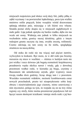 miejscach rozpościera pod słońce swój duży liść, jakby piłką w
ząbki wycinany i na powierzchni lepkolśniący, poza tym wielkie
mnóstwo roślin pnących, które wszędzie wśród drzewostanu
oplatają młodsze pnie, mieszając z ich liśćmi swe własne.
Smukła postać olchy skupia się w miejscach zagłębionych w
małe gaiki. Lipę jednak spotyka się bardzo rzadko, dębu nie ma
wcale ani sosny. Widnieją one jednak w kilku miejscach na
wschodnim stoku, granicy naszej dziedziny, gdzie z innym
rodzajem gruntu zaczyna się inna, zwykła zresztą, roślinność.
Czarno odcinają się tam sosny na tle nieba, spoglądając
strażniczo na naszą dolinę.
Od stoku do rzeki nie ma więcej nad pięćset metrów,
wyliczyłem to krokami. Być może, że w dół rzeki pas brzeżny
rozszerza się nieco w wachlarz — różnica w każdym razie nie
jest wielka i rzecz dziwna» jak bogatą rozmaitość krajobrazową
przedstawia wąska okolica nawet i wtedy, gdy z dowolnej
przestrzeni wzdłuż rzeki, w kierunku jej biegu, czynimy z
Bauszanem tak umiarkowany użytek, gdyż wyprawy nasze
trwają rzadko dwie godziny, licząc drogę tam i z powrotem.
Wszelako rozmaitość widoków, możność kombinowania coraz
nowych przechadzek, przeto też nieuprzykrzenie sobie kraj-
obrazu i nieuświadomienie jego ciasnoty, mimo ustawicznej z
nim styczności, polega na tym, że rozpada się on na trzy różne
regiony czy strefy, które można przemierzać pojedynczo lub też
łączyć razem skośnymi ścieżkami: istnieje strefa rzeki z jej bez-
 