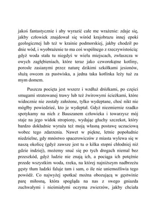 jakoś fantastycznie i aby wyrazić całe me wrażenie: zdaje się,
jakby człowiek znajdował się wśród krajobrazu innej epoki
geologicznej lub też w krainie podmorskiej, jakby chodził po
dnie wód, i wyobrażenie to ma coś wspólnego z rzeczywistością:
gdyż woda stała tu niegdyś w wielu miejscach, zwłaszcza w
owych zagłębieniach, które teraz jako czworokątne kotliny,
porosłe zasianymi przez naturę dzikimi szkółkami jesionów,
służą owcom za pastwiska, a jedna taka kotlinka leży tuż za
mym domem.
Puszcza pocięta jest wszerz i wzdłuż dróżkami, po części
smugami stratowanej trawy lub też żwirowymi ścieżkami, które
widocznie nie zostały założone, tylko wydeptane, choć nikt nie
mógłby powiedzieć, kto je wydeptał. Gdyż niezmiernie rzadko
spotykamy na nich z Bauszanem człowieka i towarzysz mój
staje na jego widok stropiony, wydając głuchy szczekot, który
bardzo dokładnie wyraża też moją własną postawę uczuciową
wobec tego zdarzenia. Nawet w piękne, letnie popołudnie
niedzielne, gdy mnóstwo spacerowiczów z miasta wylewa się w
naszą okolicę (gdyż zawsze jest tu o kilka stopni chłodniej niż
gdzie indziej), możemy snuć się po tych drogach niemal bez
przeszkód, gdyż ludzie nie znają ich, a pociąga ich potężnie
przede wszystkim woda, rzeka, na której najniższym nadbrzeżu
gęsty tłum ludzki faluje tam i sam, o ile nie uniemożliwia tego
powódź. Co najwyżej spotkać można obozującą w gęstwinie
parę miłosną, która spogląda na nas z swego gniazda
zuchwałymi i nieśmiałymi oczyma zwierzów, jakby chciała
 