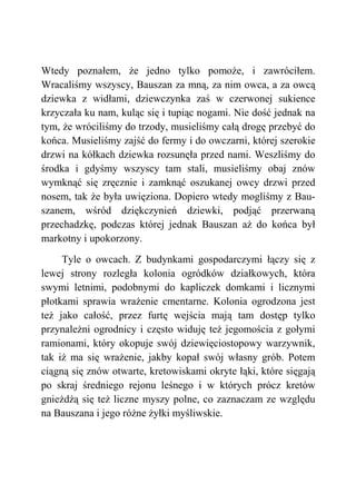 Wtedy poznałem, że jedno tylko pomoże, i zawróciłem.
Wracaliśmy wszyscy, Bauszan za mną, za nim owca, a za owcą
dziewka z widłami, dziewczynka zaś w czerwonej sukience
krzyczała ku nam, kuląc się i tupiąc nogami. Nie dość jednak na
tym, że wróciliśmy do trzody, musieliśmy całą drogę przebyć do
końca. Musieliśmy zajść do fermy i do owczarni, której szerokie
drzwi na kółkach dziewka rozsunęła przed nami. Weszliśmy do
środka i gdyśmy wszyscy tam stali, musieliśmy obaj znów
wymknąć się zręcznie i zamknąć oszukanej owcy drzwi przed
nosem, tak że była uwięziona. Dopiero wtedy mogliśmy z Bau-
szanem, wśród dziękczynień dziewki, podjąć przerwaną
przechadzkę, podczas której jednak Bauszan aż do końca był
markotny i upokorzony.
Tyle o owcach. Z budynkami gospodarczymi łączy się z
lewej strony rozległa kolonia ogródków działkowych, która
swymi letnimi, podobnymi do kapliczek domkami i licznymi
płotkami sprawia wrażenie cmentarne. Kolonia ogrodzona jest
też jako całość, przez furtę wejścia mają tam dostęp tylko
przynależni ogrodnicy i często widuję też jegomościa z gołymi
ramionami, który okopuje swój dziewięciostopowy warzywnik,
tak iż ma się wrażenie, jakby kopał swój własny grób. Potem
ciągną się znów otwarte, kretowiskami okryte łąki, które sięgają
po skraj średniego rejonu leśnego i w których prócz kretów
gnieżdżą się też liczne myszy polne, co zaznaczam ze względu
na Bauszana i jego różne żyłki myśliwskie.
 